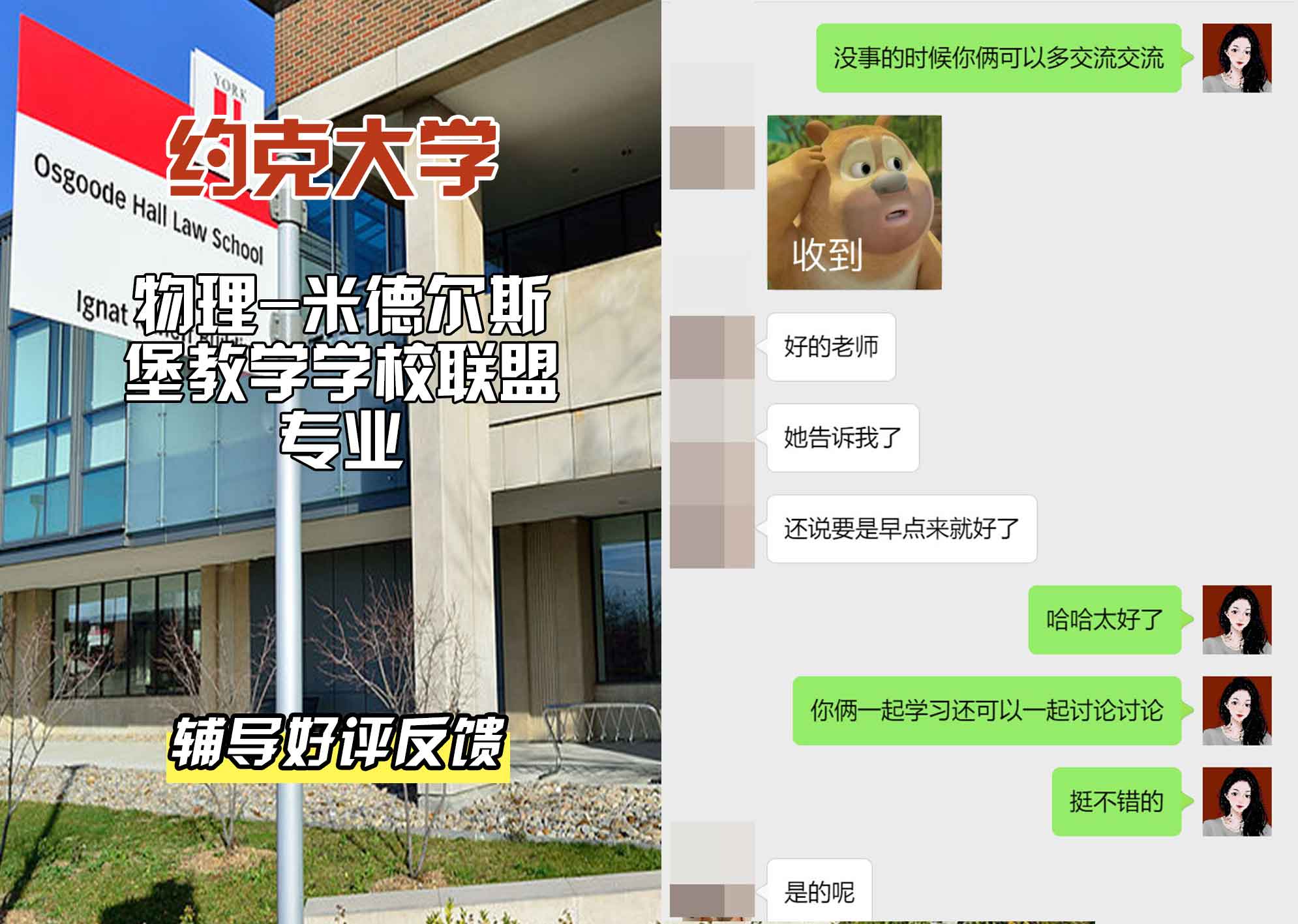 约克大学UOY物理 - 米德尔斯堡教学学校联盟辅导好评反馈