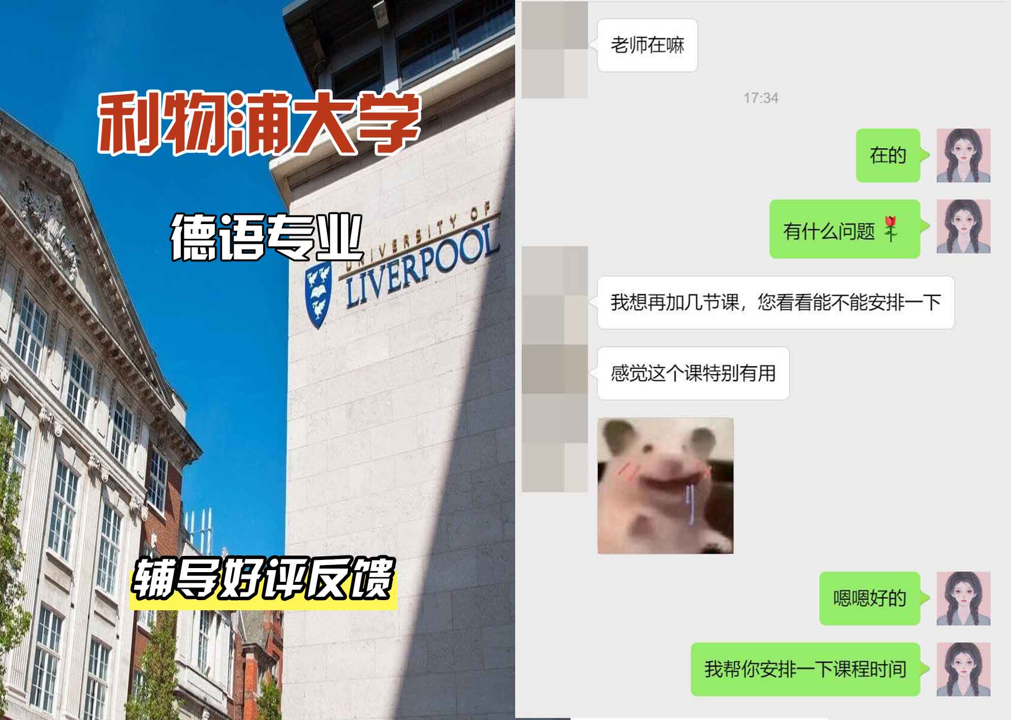 利物浦大学利大德语辅导好评反馈