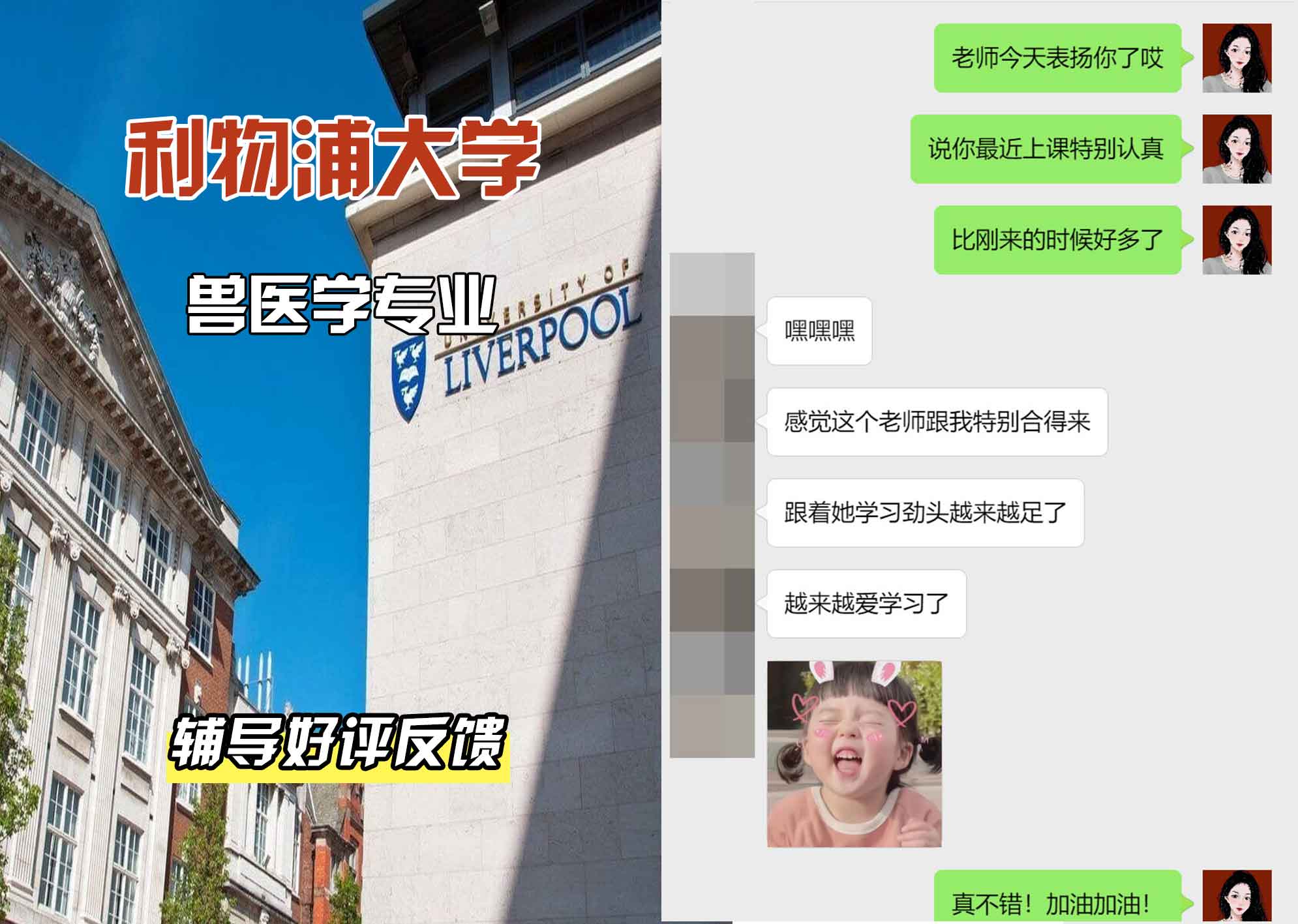 利物浦大学利大兽医学辅导好评反馈