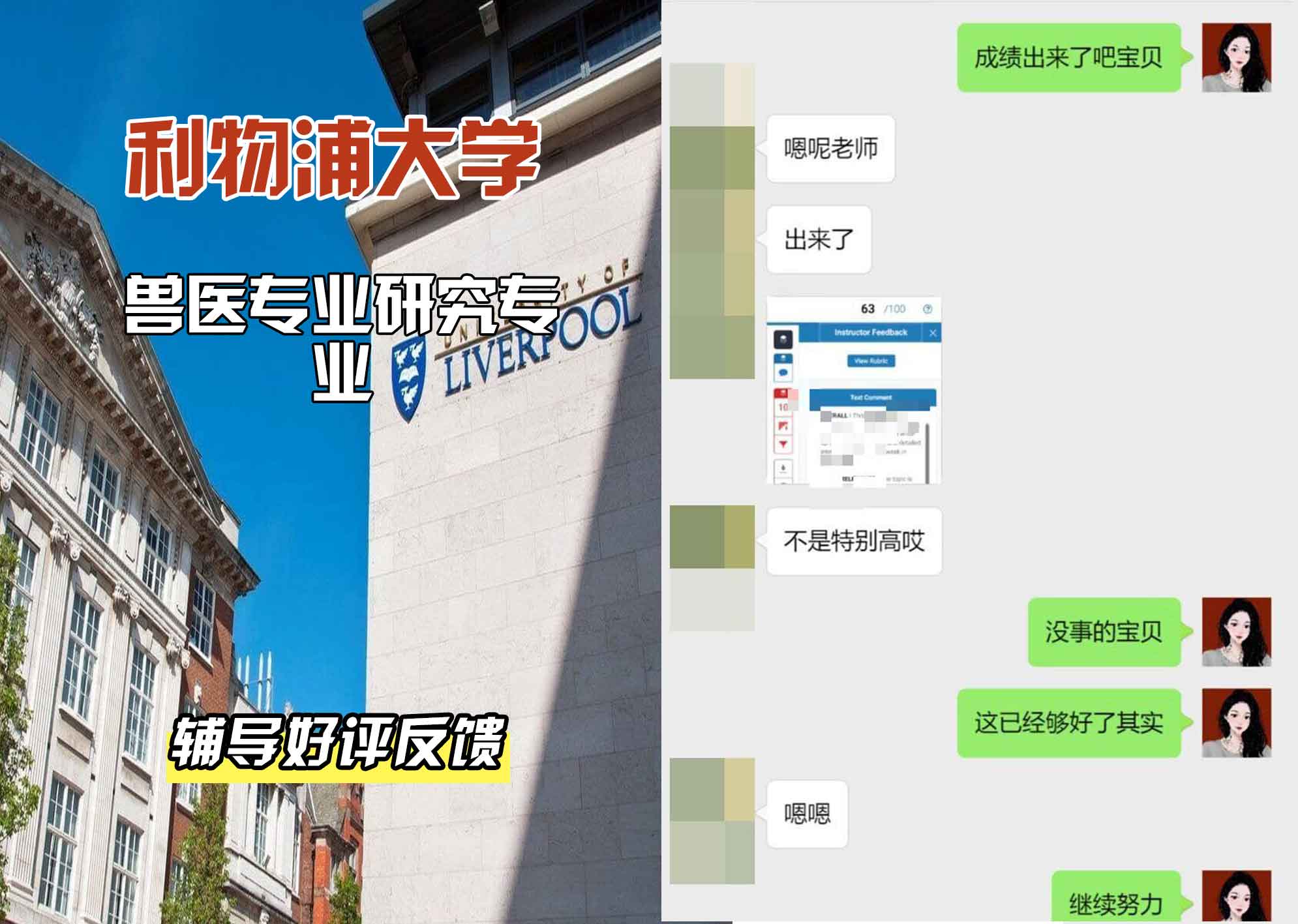 利物浦大学利大兽医专业研究辅导好评反馈