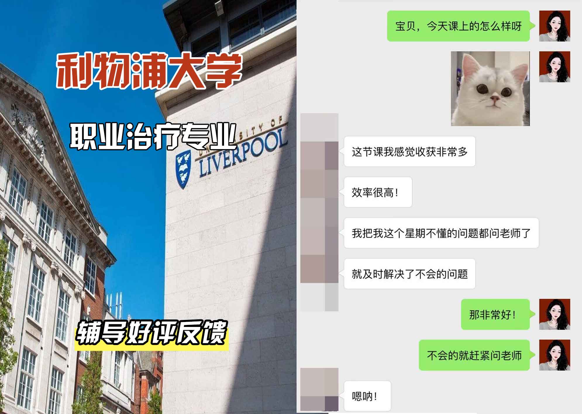 利物浦大学利大职业治疗辅导好评反馈