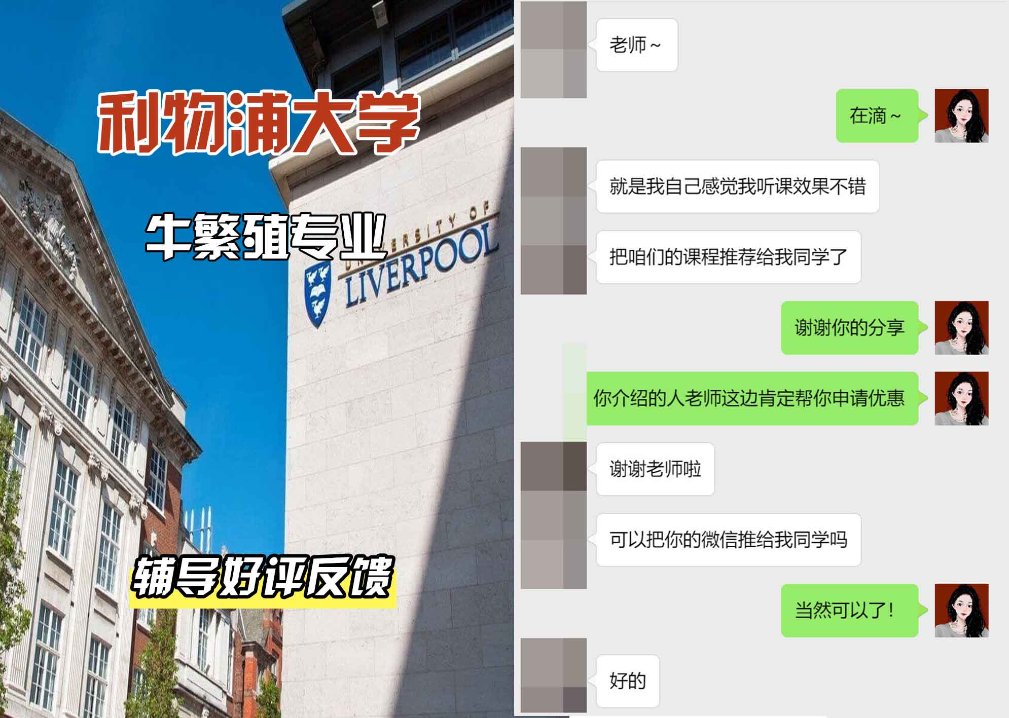 利物浦大学利大牛繁殖辅导好评反馈