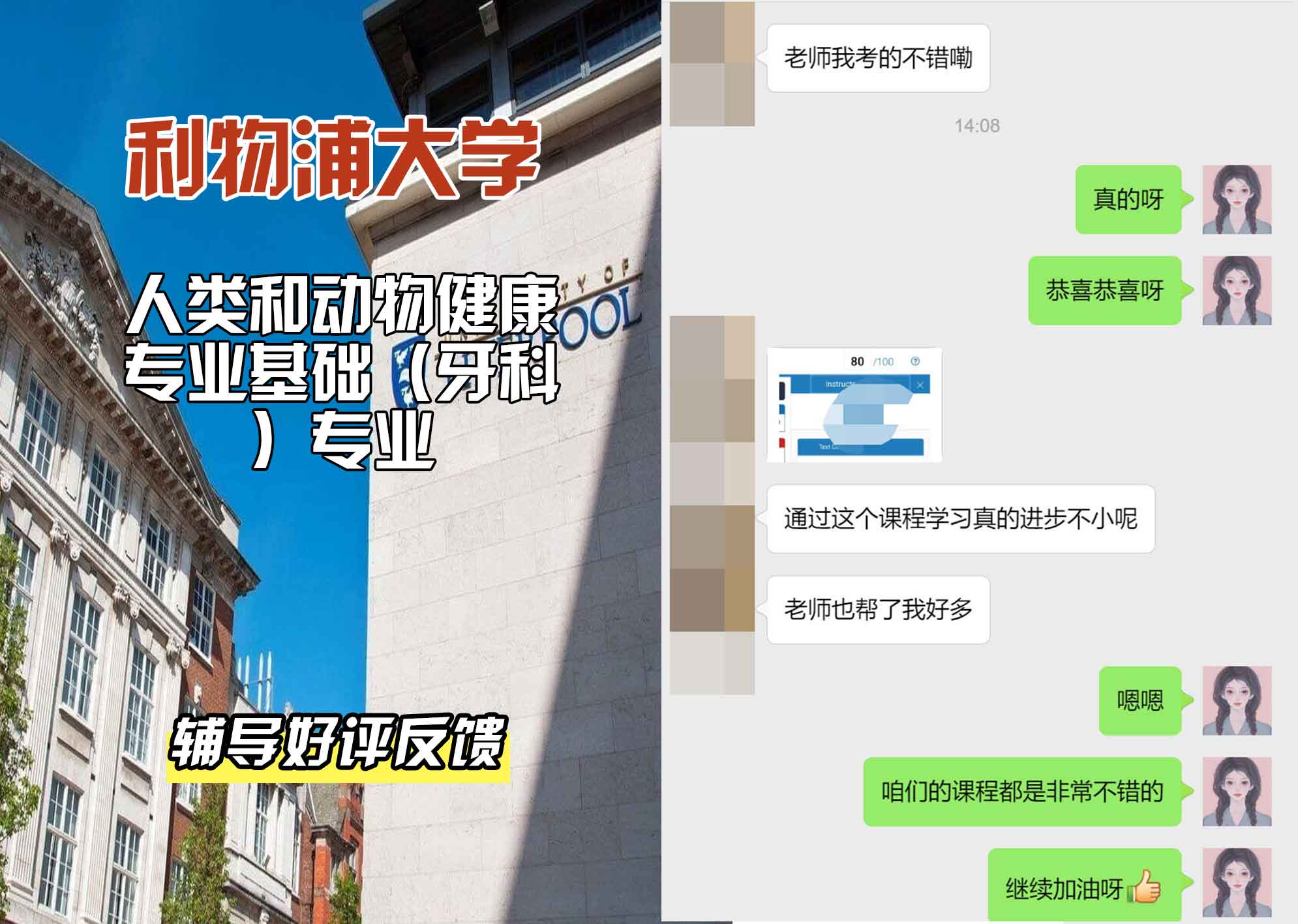 利物浦大学利大人类和动物健康专业基础（牙科）辅导好评反馈