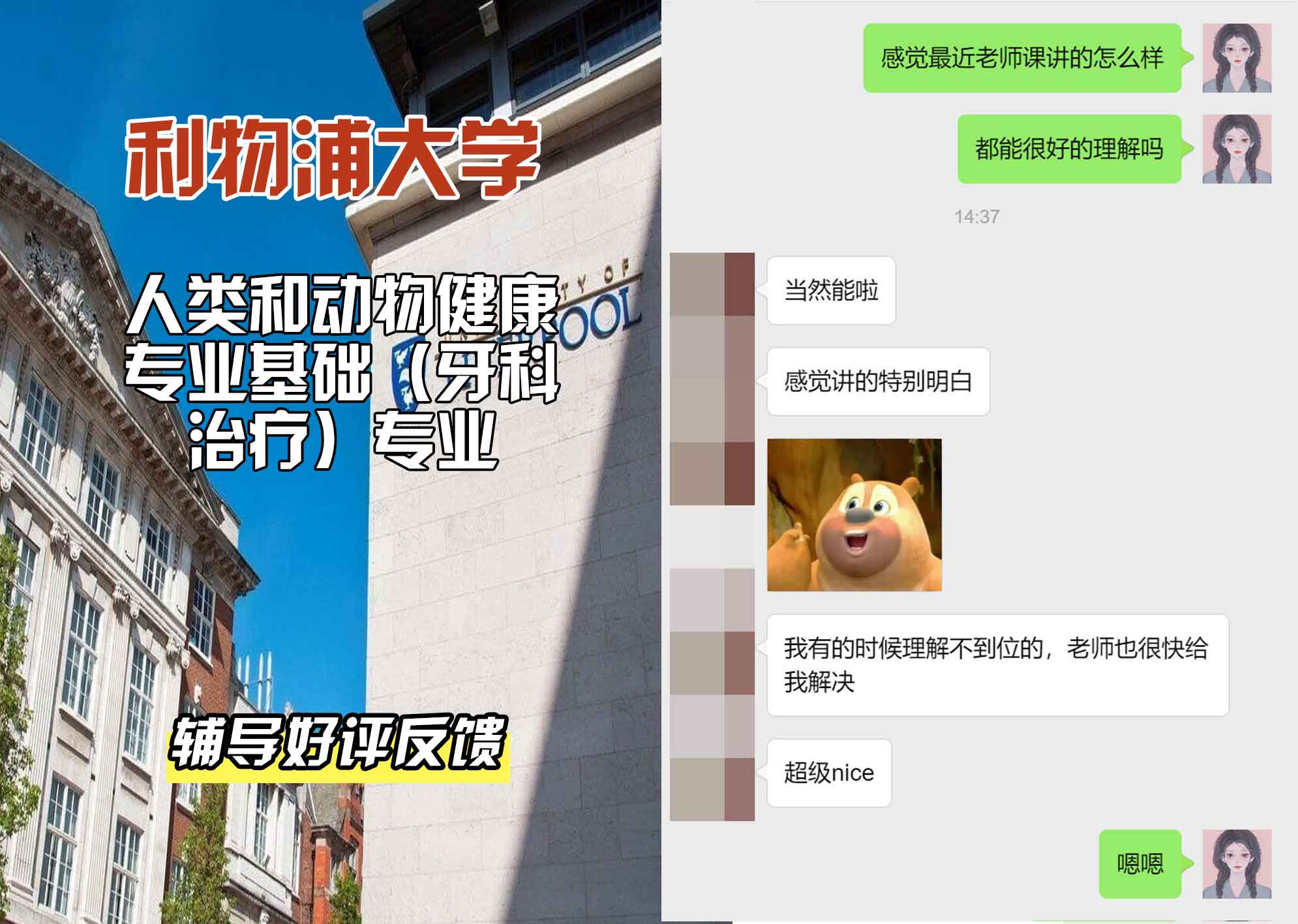利物浦大学利大人类和动物健康专业基础（牙科治疗）辅导好评反馈