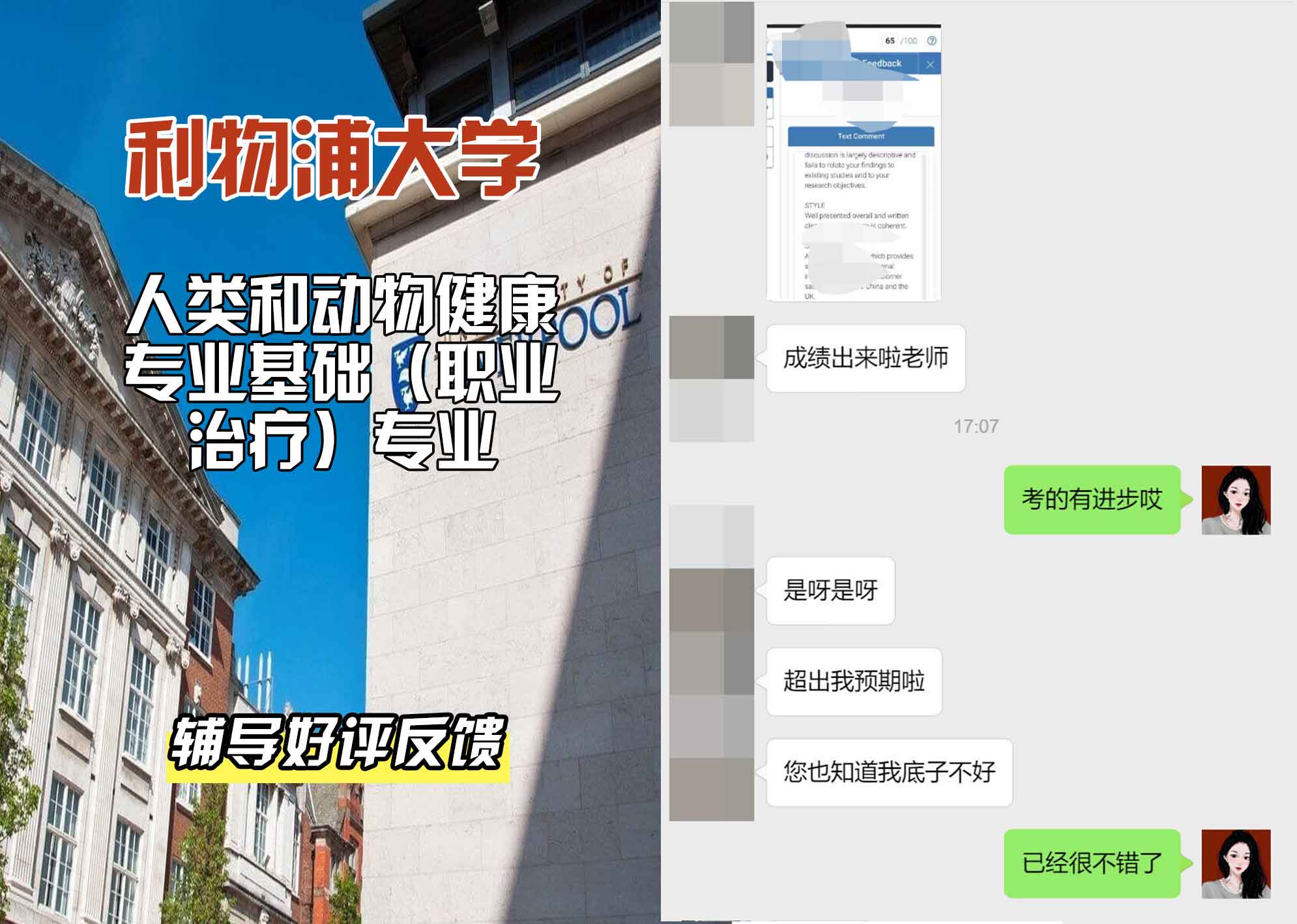 利物浦大学利大人类和动物健康专业基础（职业治疗）辅导好评反馈