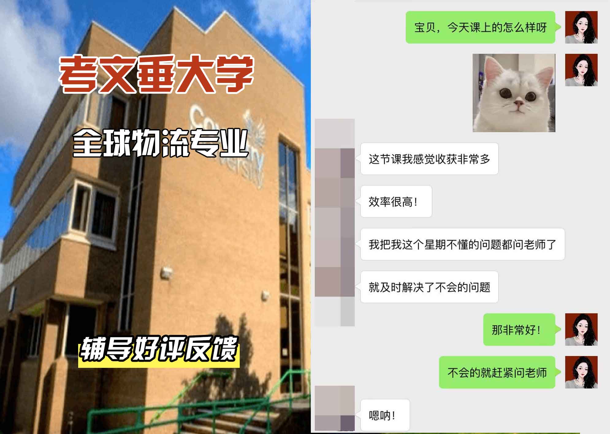 CU考文垂大学全球物流辅导好评反馈