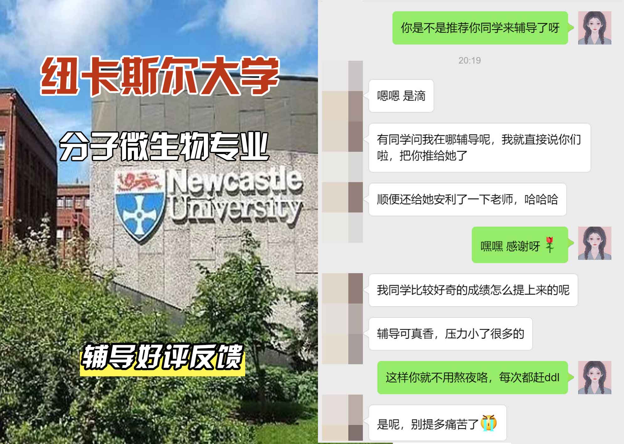 纽卡斯尔大学纽大分子微生物辅导好评反馈