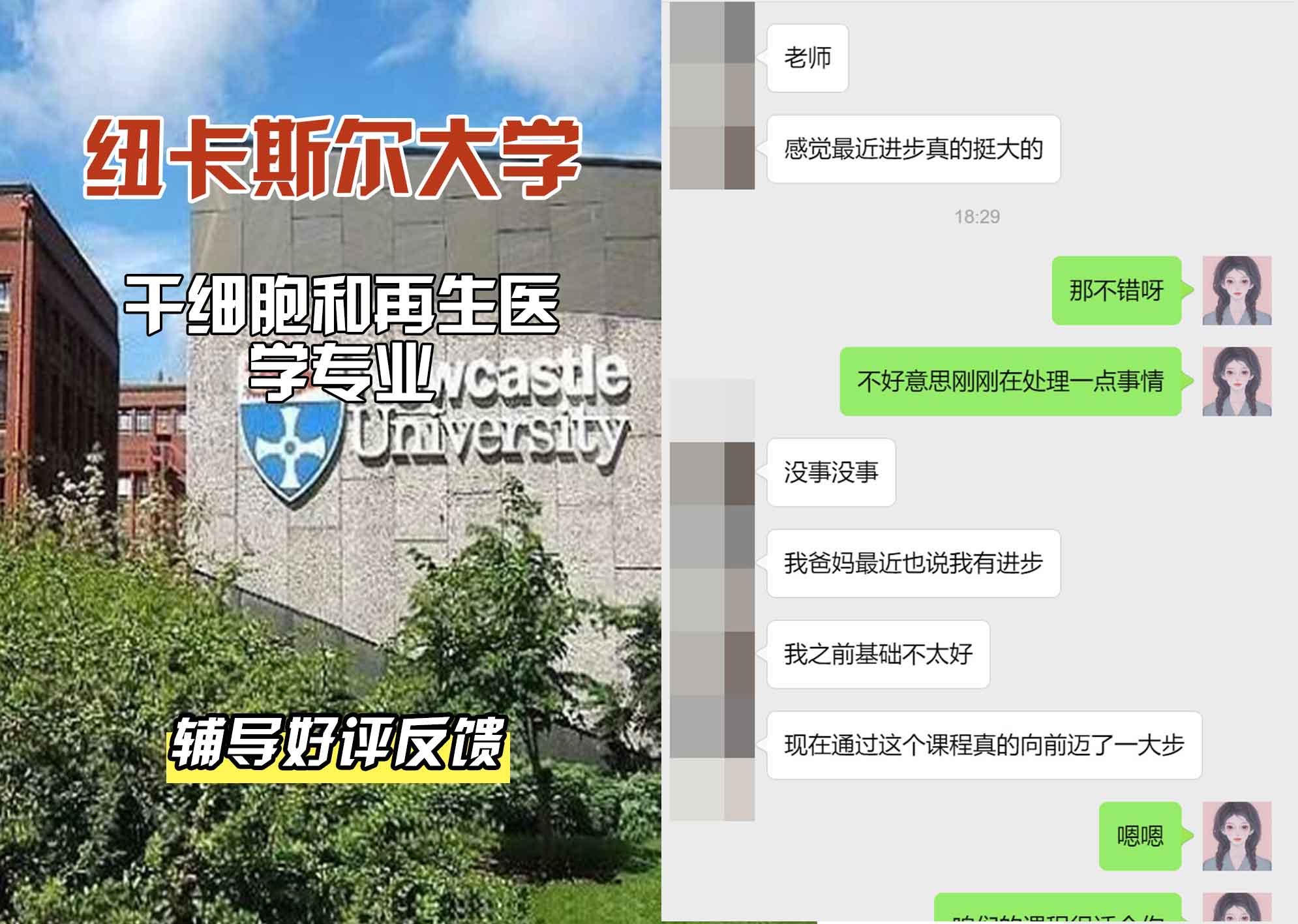 纽卡斯尔大学纽大干细胞和再生医学辅导好评反馈