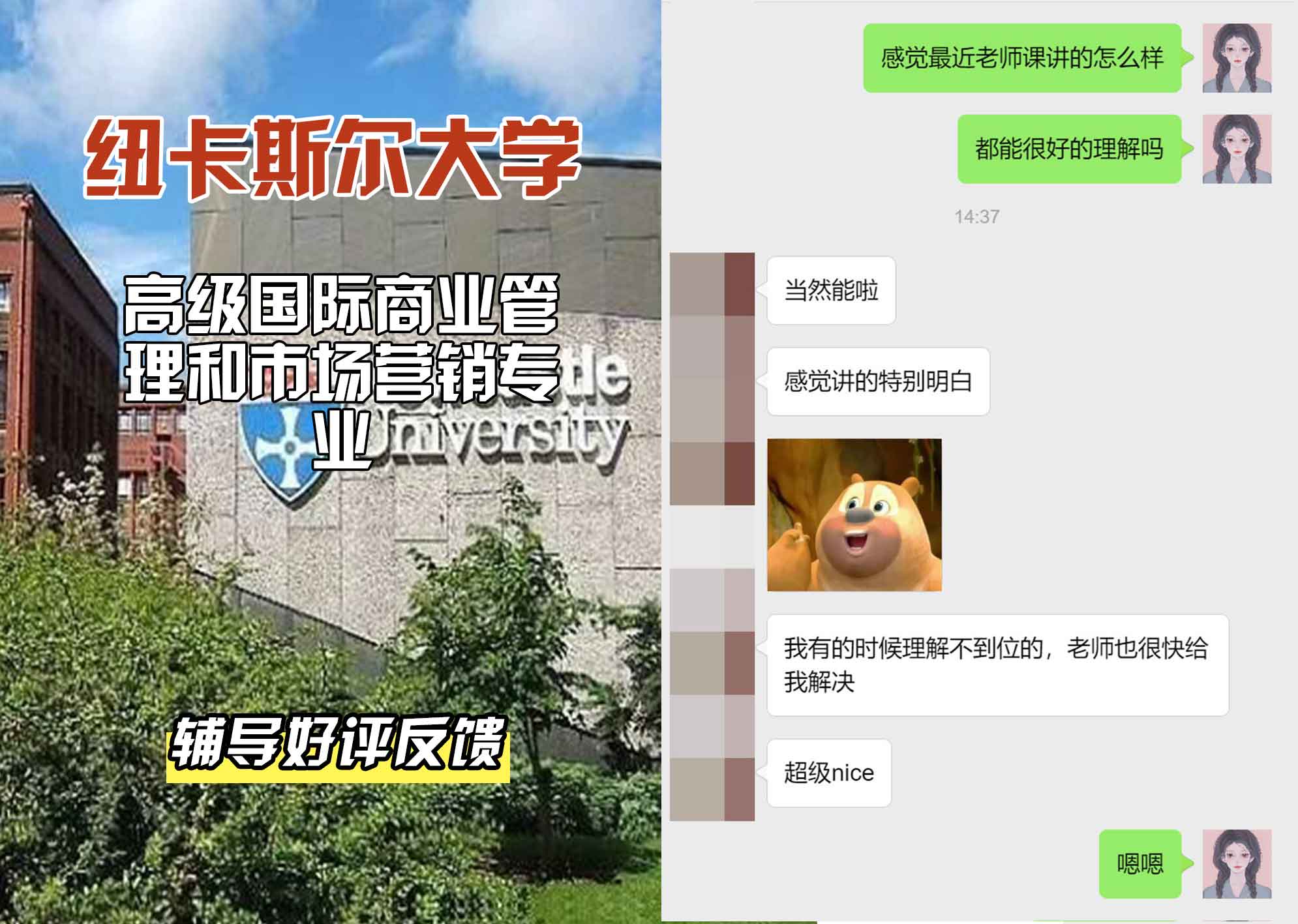 纽卡斯尔大学纽大高级国际商业管理和市场营销辅导好评反馈