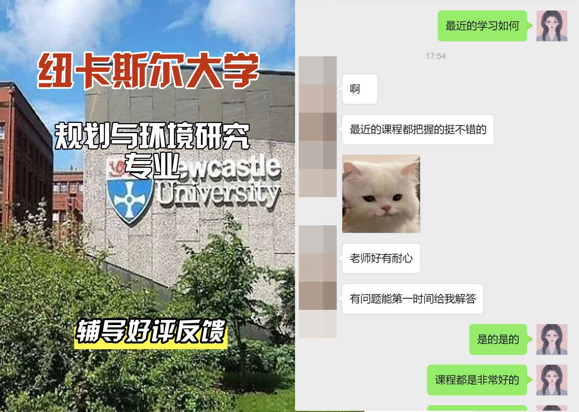 纽卡斯尔大学纽大规划与环境研究辅导好评反馈