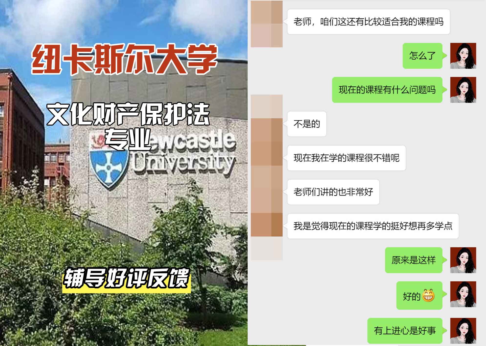 纽卡斯尔大学纽大文化财产保护法辅导好评反馈
