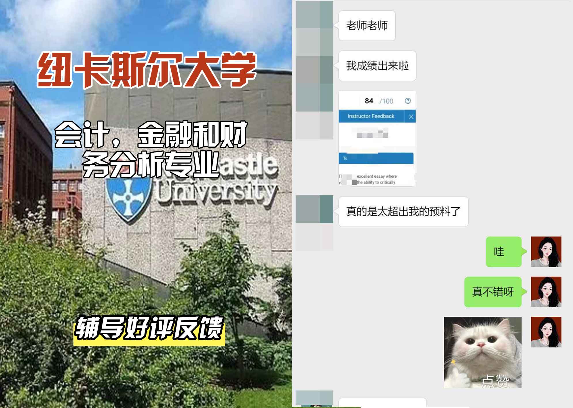 纽卡斯尔大学纽大会计，金融和财务分析辅导好评反馈