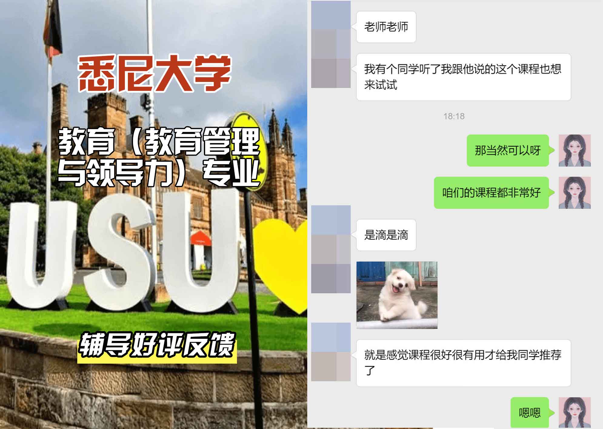 悉尼大学USYD教育（教育管理与领导力）辅导好评反馈