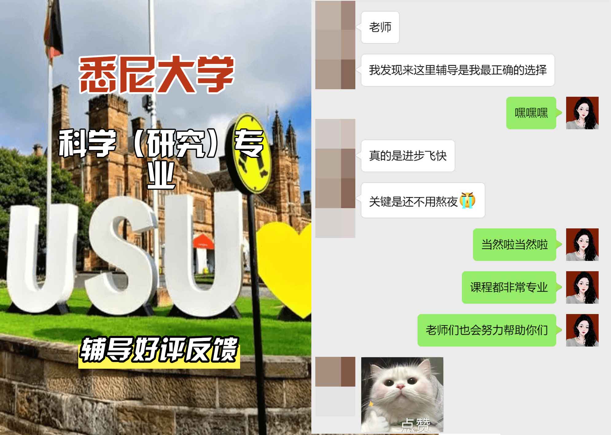 悉尼大学USYD科学（研究）辅导好评反馈