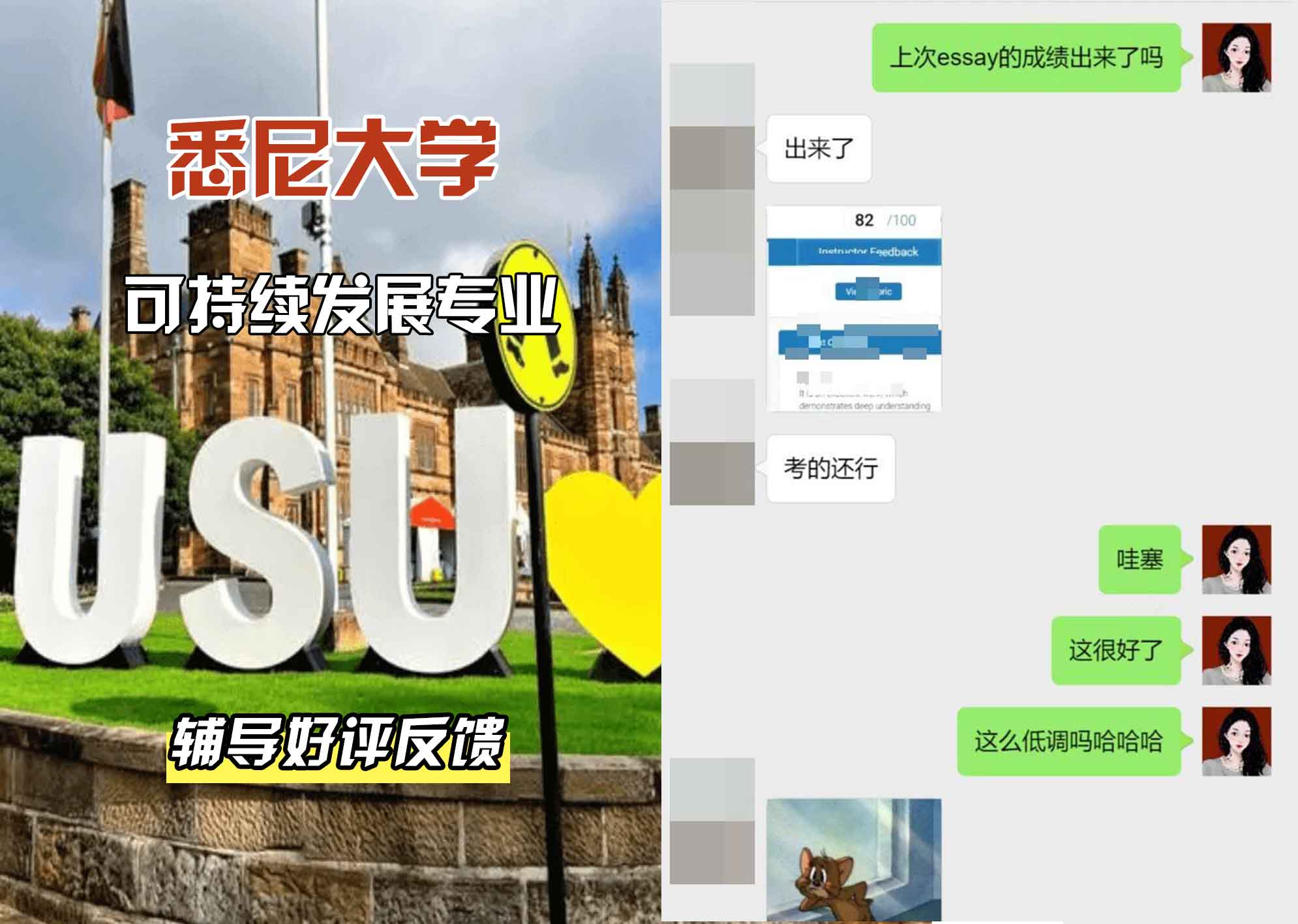 悉尼大学USYD可持续发展辅导好评反馈