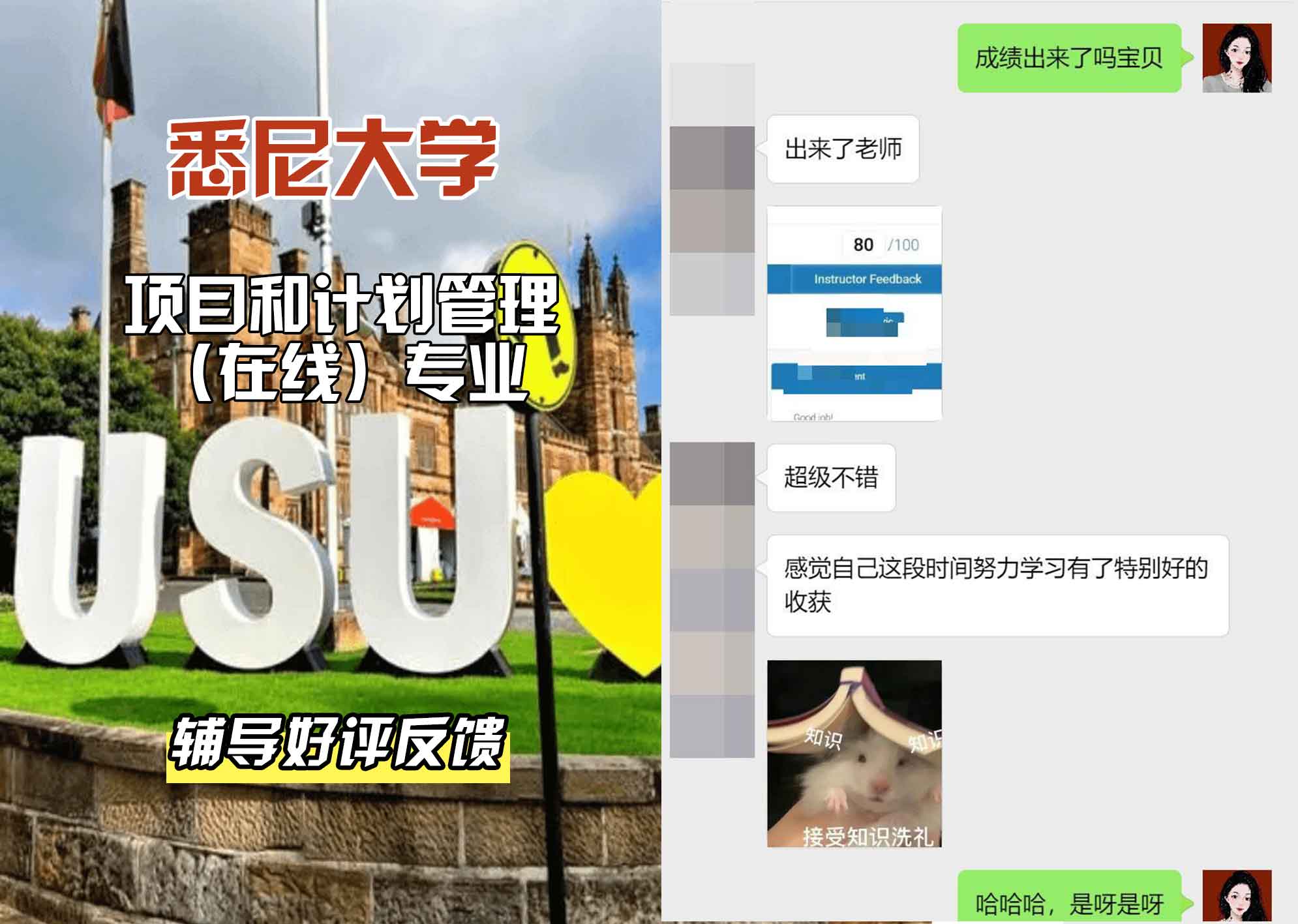 悉尼大学USYD项目和计划管理（在线）辅导好评反馈
