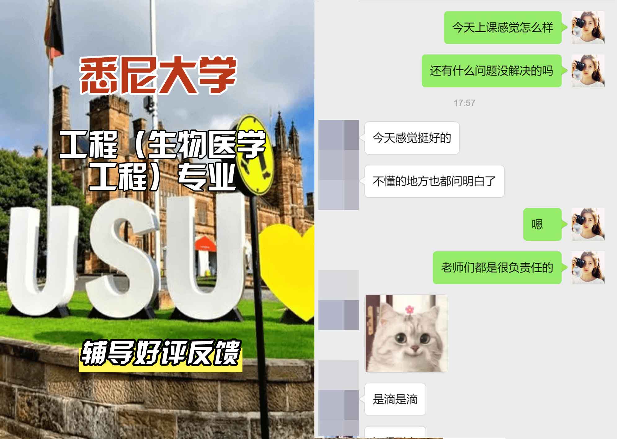 悉尼大学USYD工程（生物医学工程）辅导好评反馈