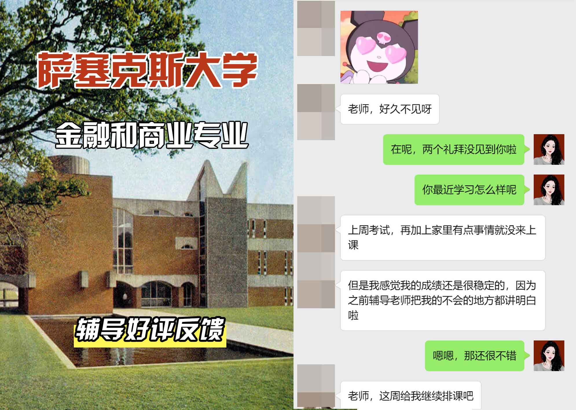 Sussex萨塞克斯大学金融和商业辅导好评反馈
