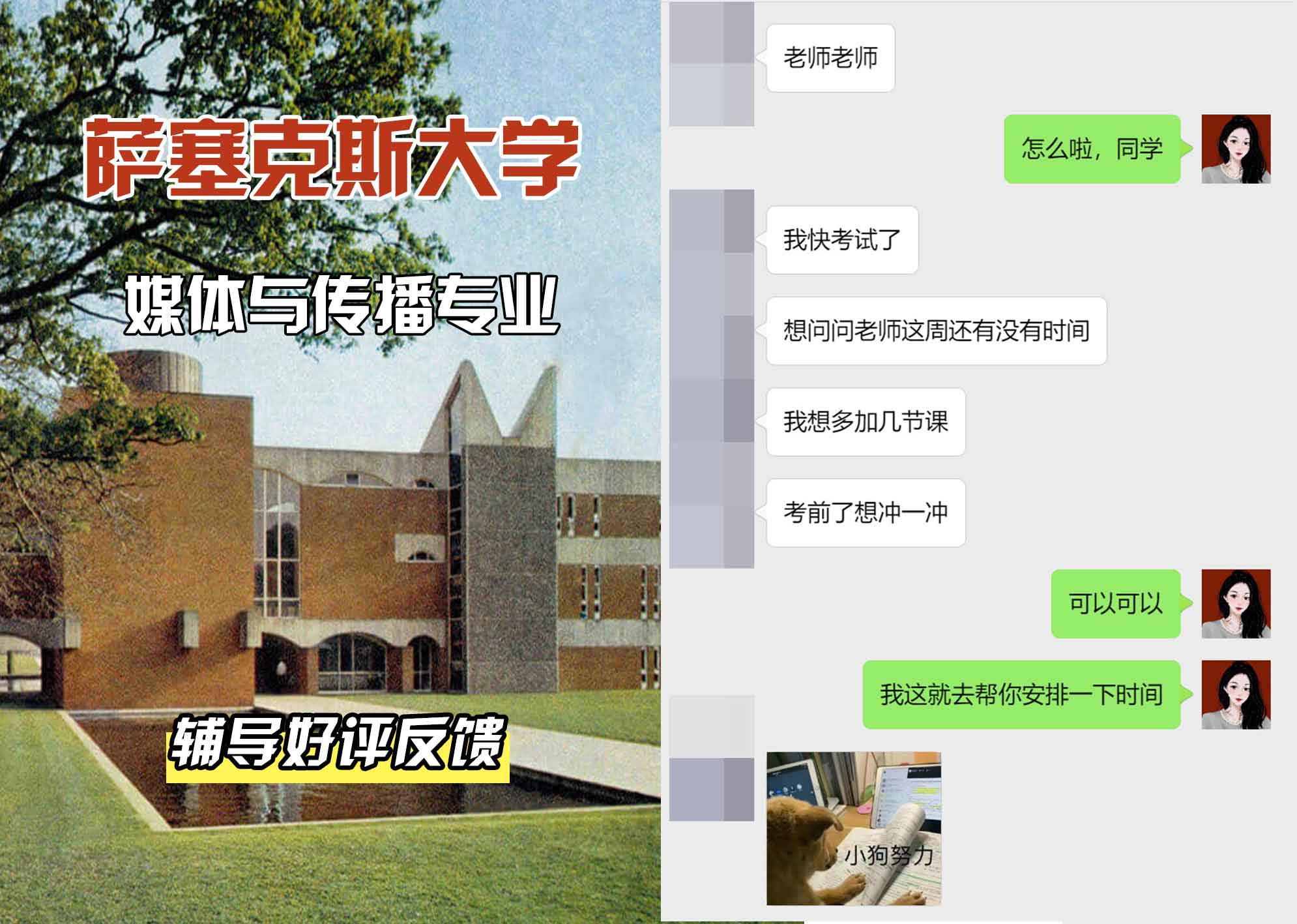Sussex萨塞克斯大学媒体与传播辅导好评反馈
