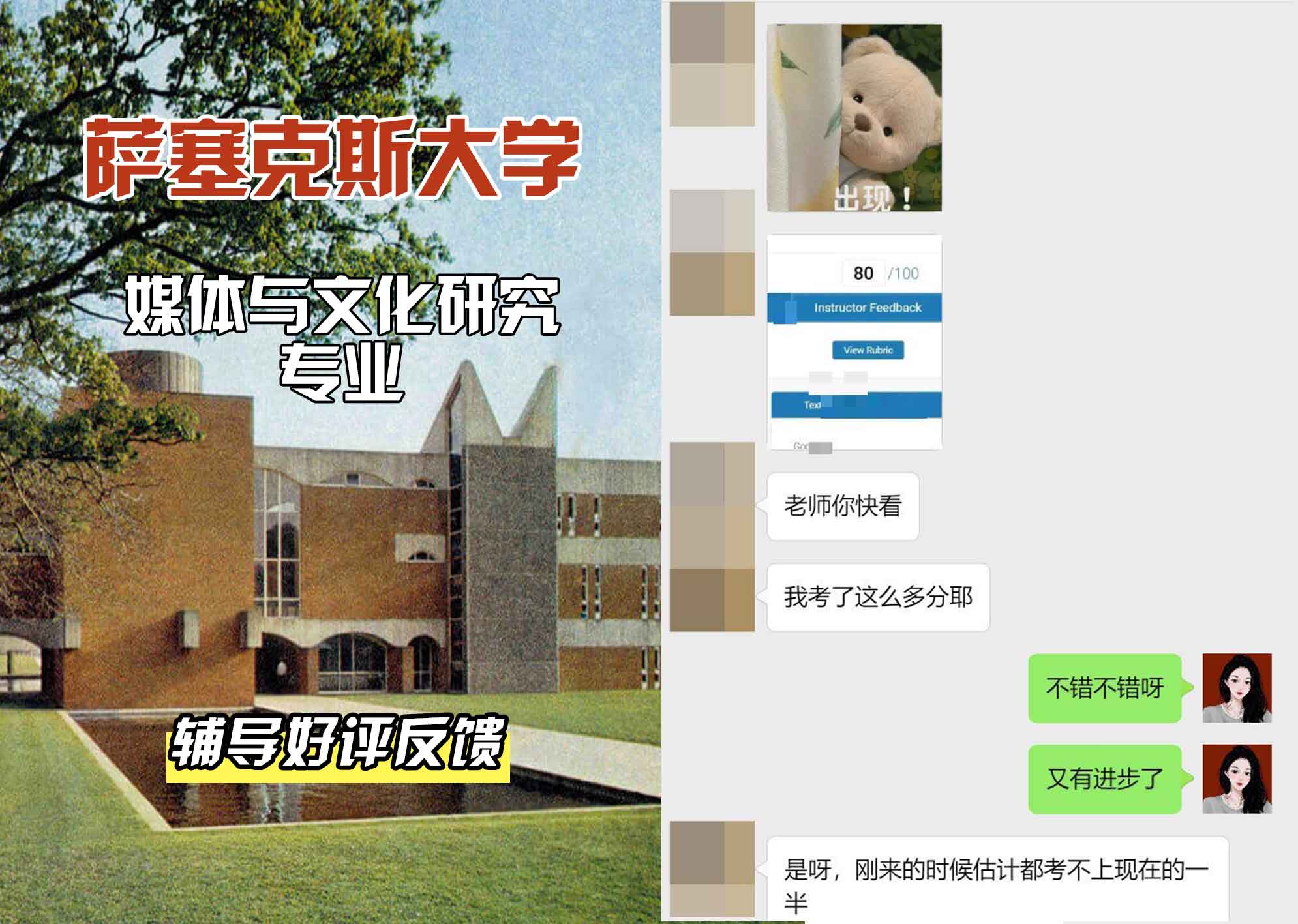 Sussex萨塞克斯大学媒体与文化研究辅导好评反馈