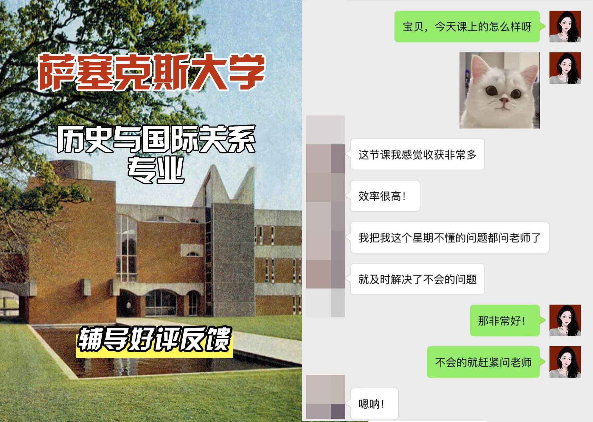 Sussex萨塞克斯大学历史与国际关系辅导好评反馈