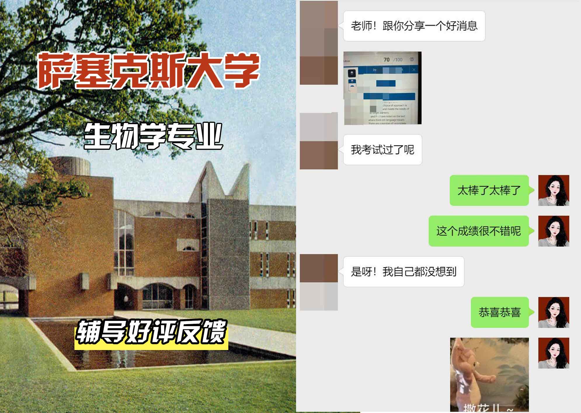 Sussex萨塞克斯大学生物学辅导好评反馈