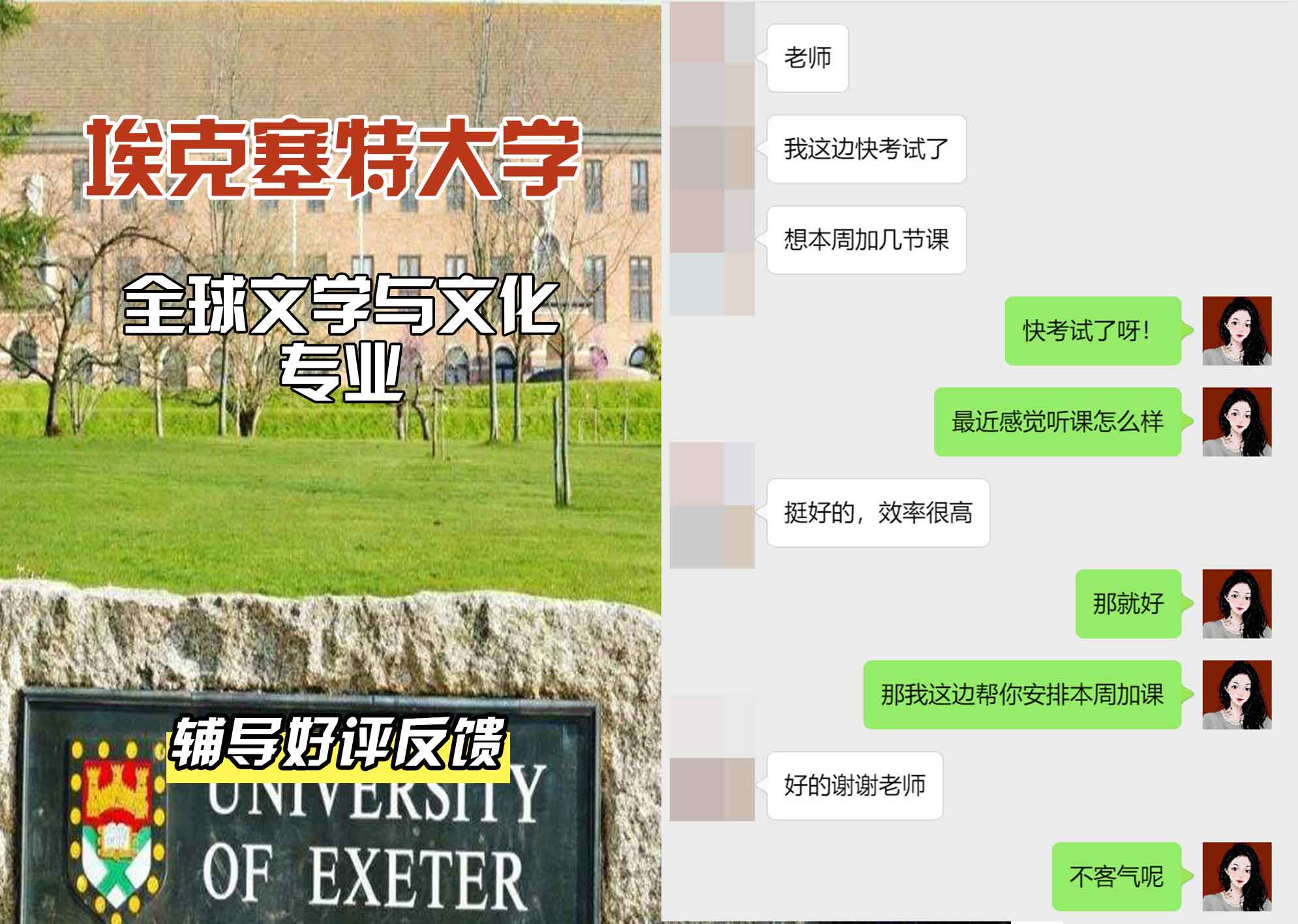 埃大埃克塞特大学全球文学与文化辅导好评反馈
