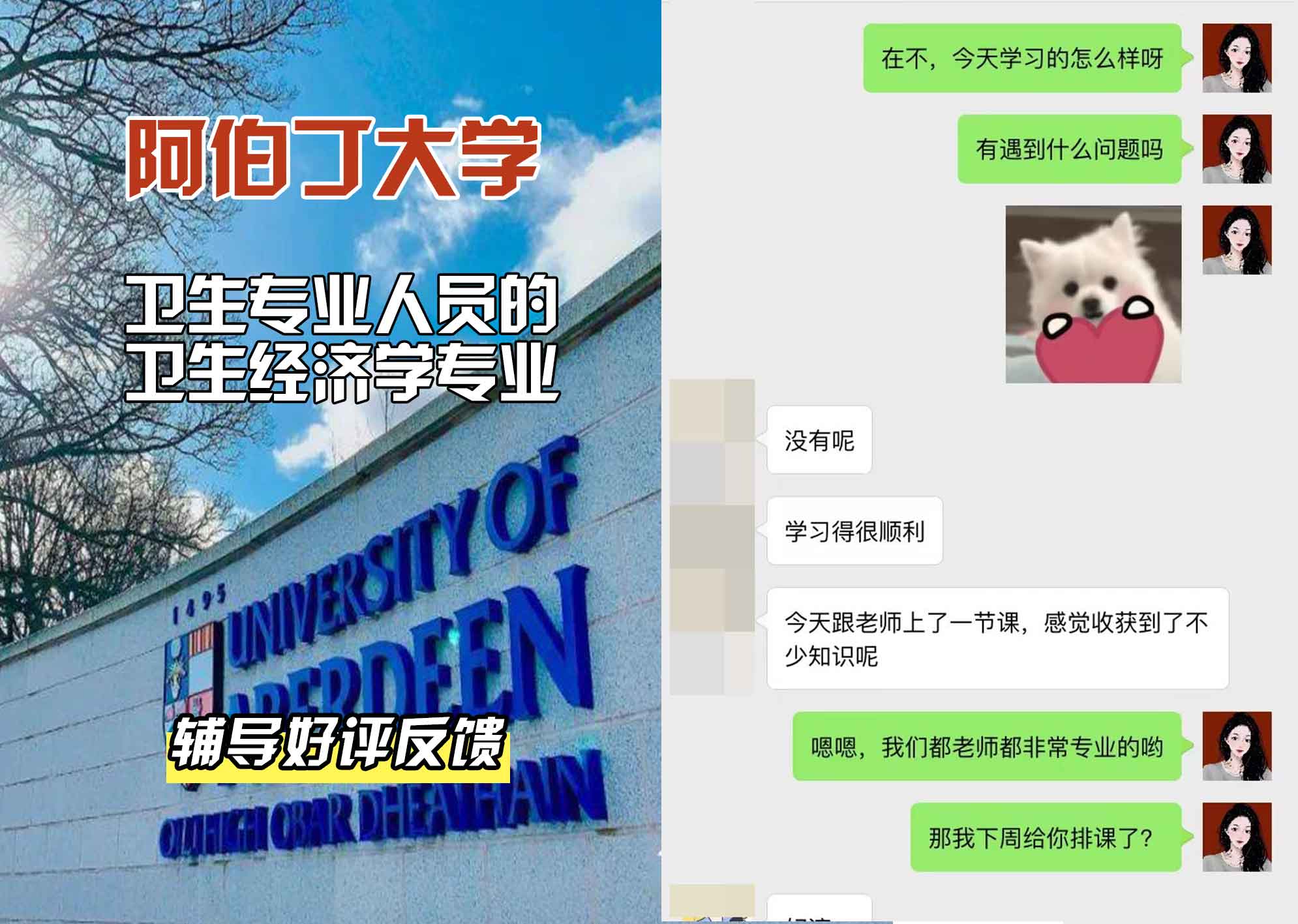 阿伯丁大学ABDN卫生专业人员的卫生经济学辅导好评反馈