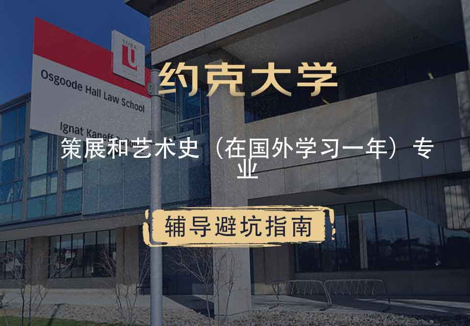 约克大学UOY策展和艺术史（在国外学习一年）辅导避坑指南