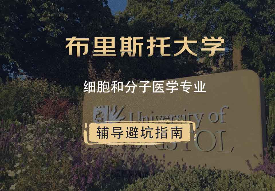 布里斯托大学布大细胞和分子医学辅导避坑指南