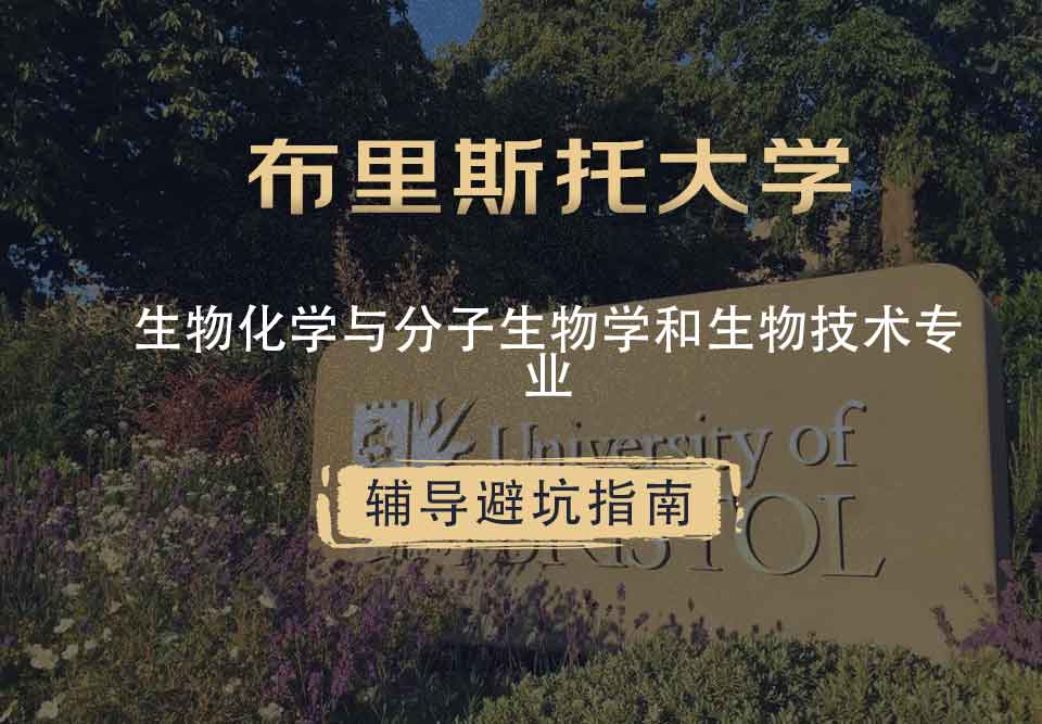 布里斯托大学布大生物化学与分子生物学和生物技术辅导避坑指南