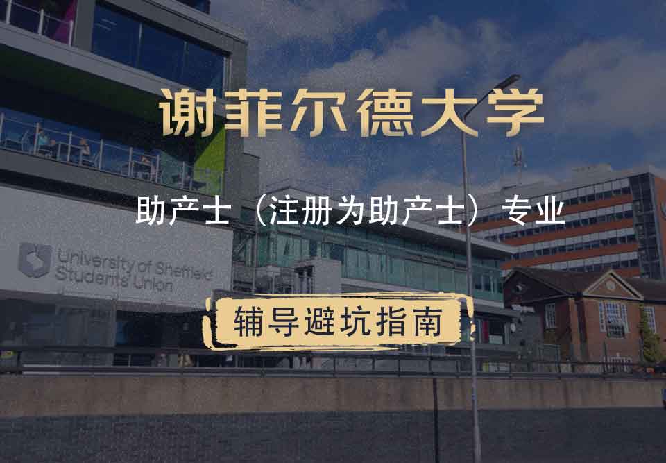 谢菲尔德大学谢大助产士（注册为助产士）辅导避坑指南
