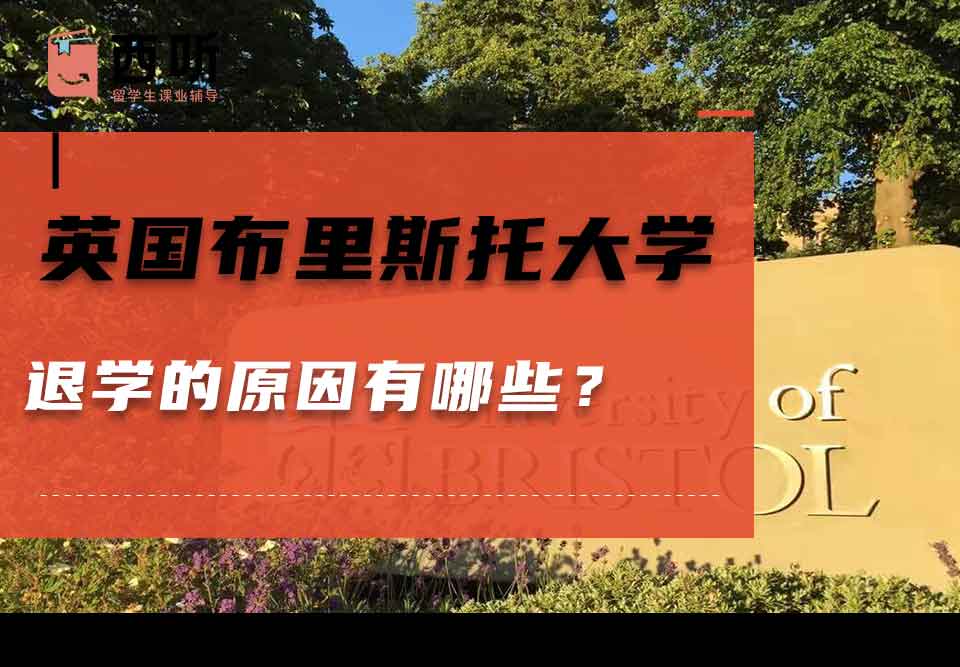 英国布里斯托大学退学的原因有哪些？