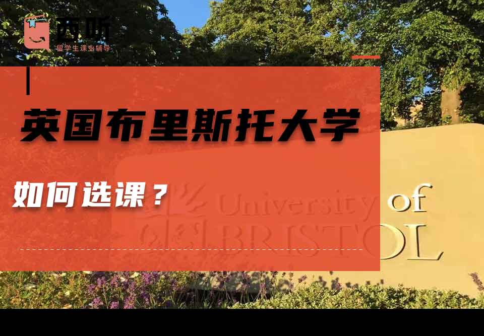 英国布里斯托大学如何选课？