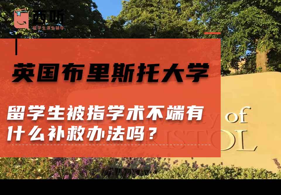 英国布里斯托大学留学生被指学术不端有什么补救办法吗？