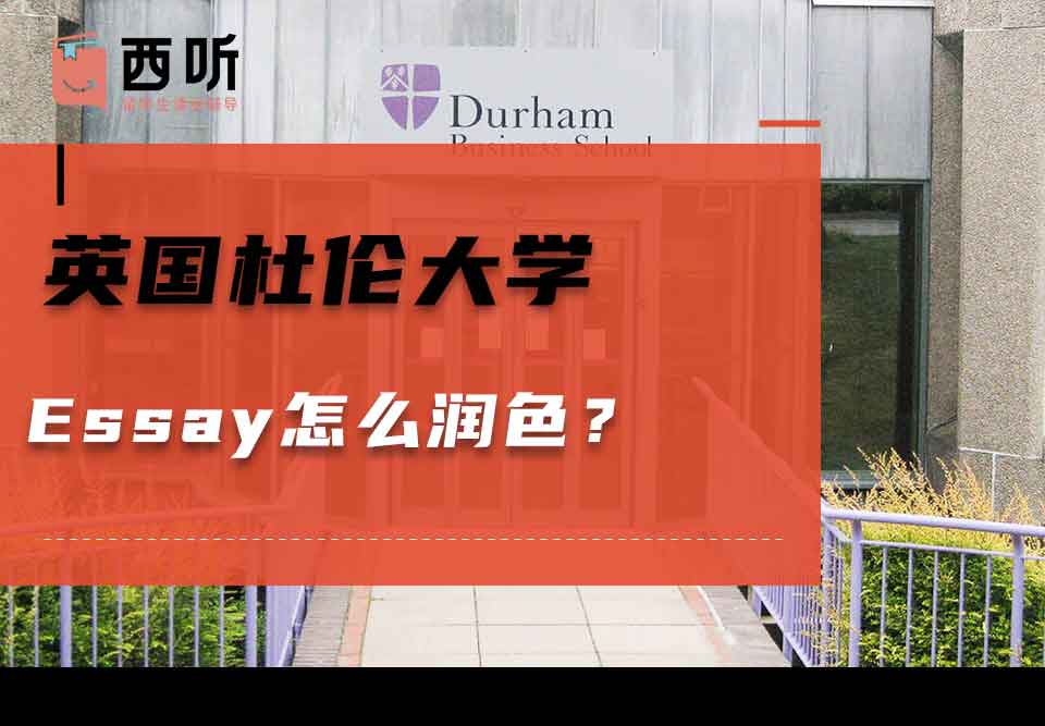 英国杜伦大学Essay怎么润色？