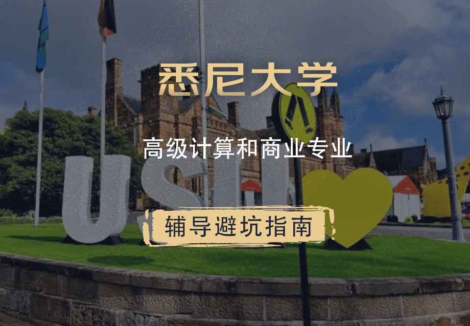 悉尼大学USYD高级计算和商业辅导避坑指南