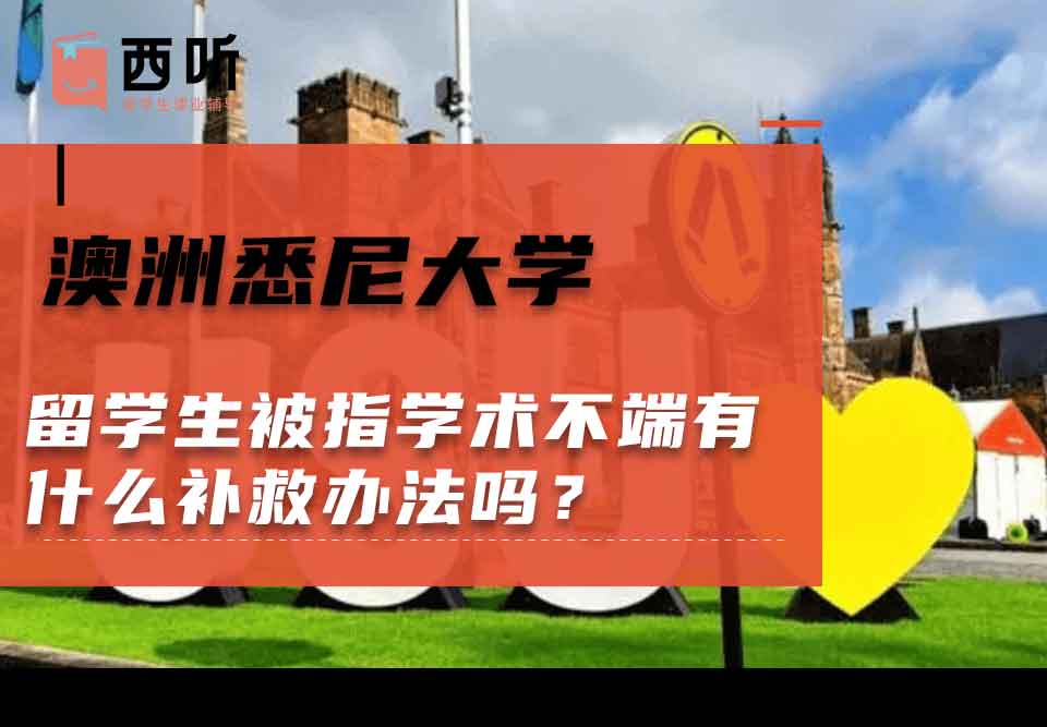 澳洲悉尼大学留学生被指学术不端有什么补救办法吗？