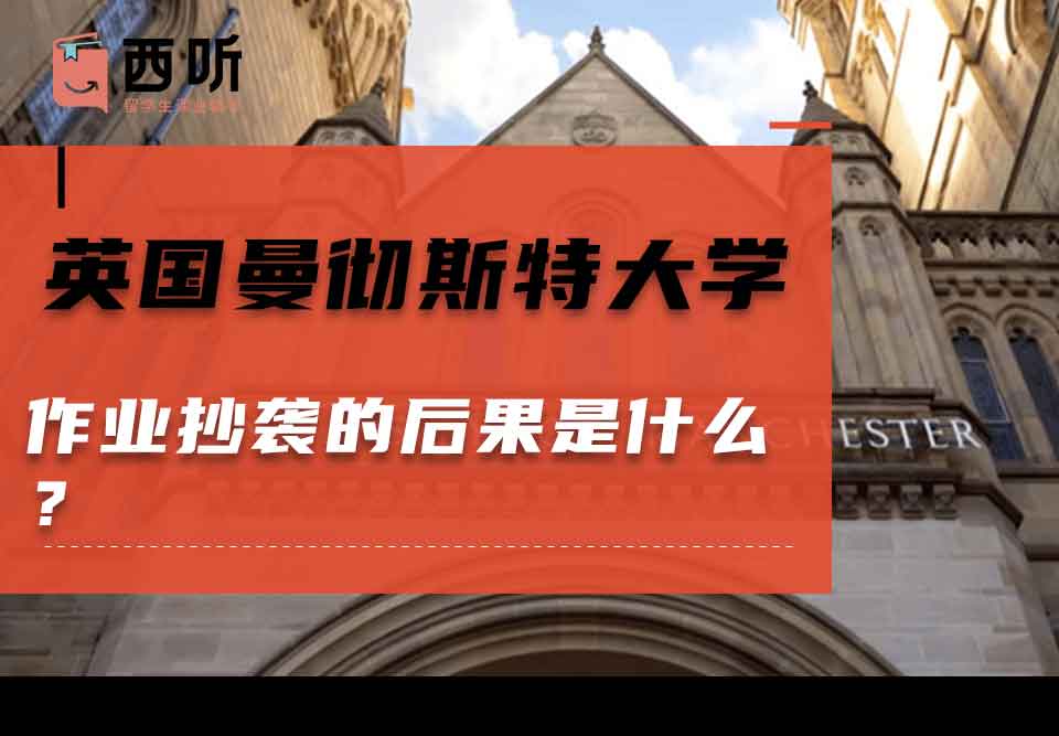英国曼彻斯特大学作业抄袭的后果是什么？