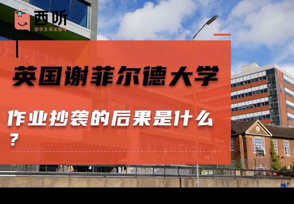 英国谢菲尔德大学作业抄袭的后果是什么？