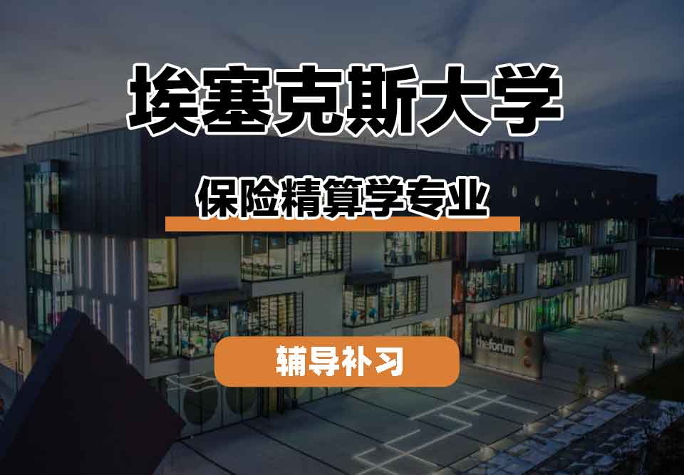 留学生线上一对一辅导丨埃塞克斯大学保险精算学专业的教学特色是什么？