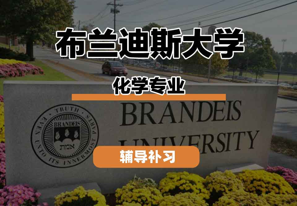 留学生线上一对一辅导丨布兰迪斯大学化学专业的就业前景如何？