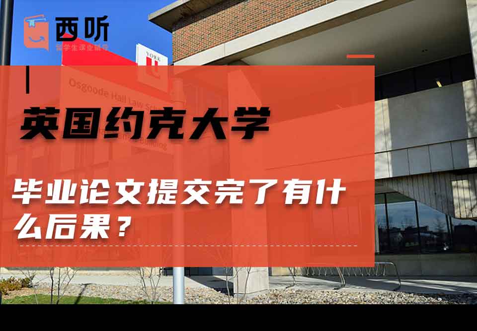 英国约克大学毕业论文提交完了有什么后果？