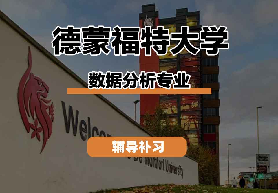 留学生线上一对一辅导丨德蒙福特大学data analysis专业的课程都有什么？