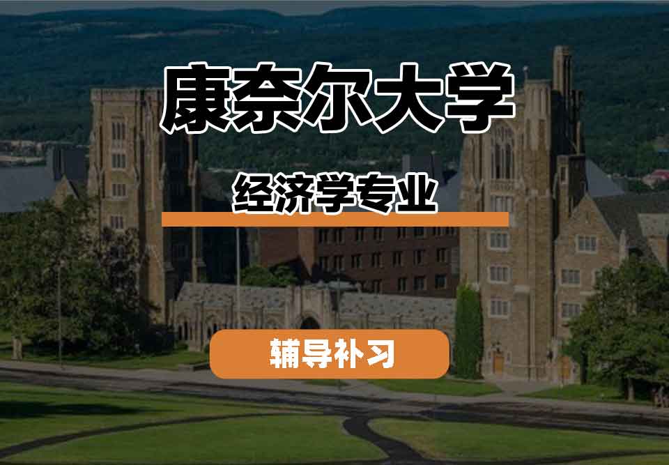 留学生线上一对一辅导丨CU经济学专业的就业前景如何？
