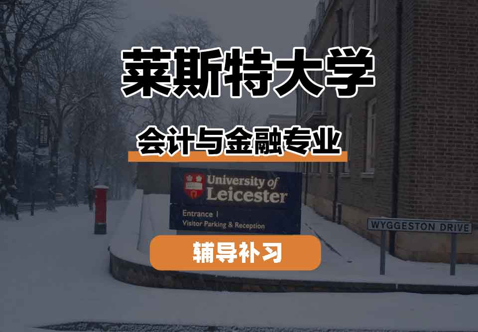 留学生线上一对一辅导丨莱大会计与金融专业教育资源怎么样？