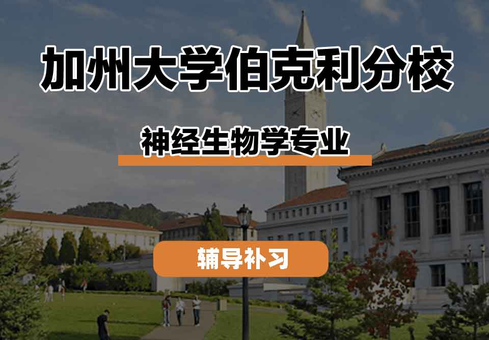 留学生线上一对一辅导丨加州大学伯克利分校neurobiology专业就业前景如何？