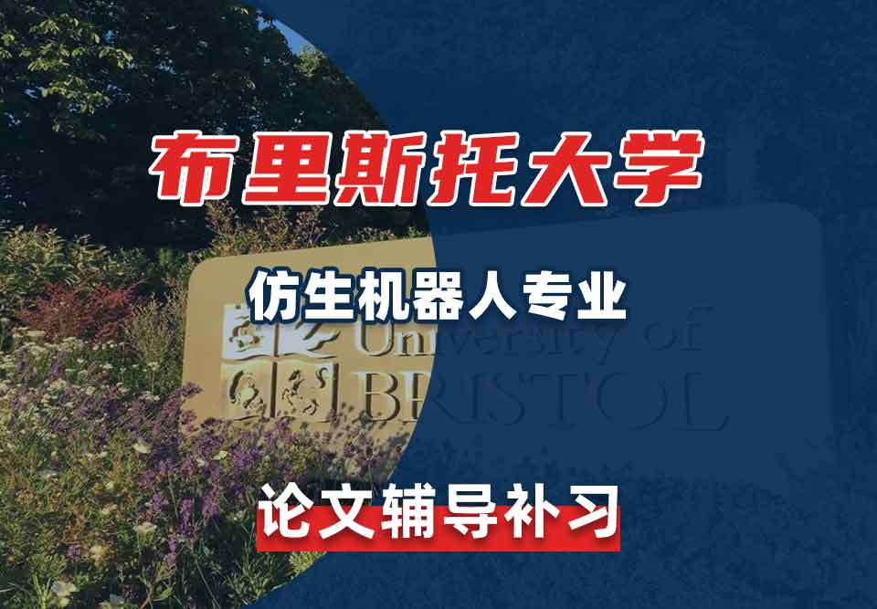 留学生毕业论文辅导丨布大仿生机器人专业论文怎样查重？