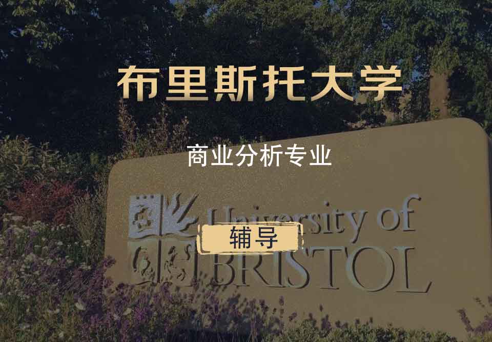 布里斯托商业分析BA辅导