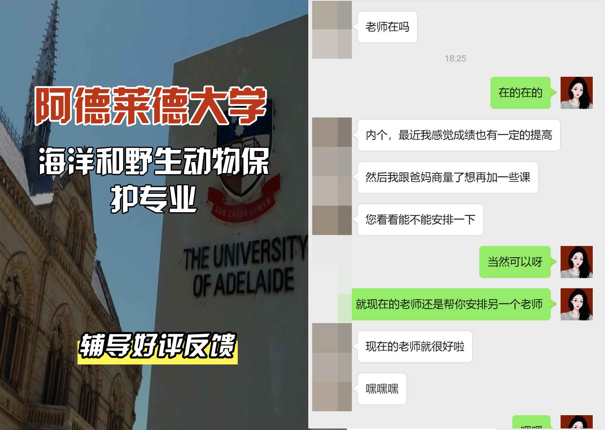 ADELAIDE阿大海洋和野生动物保护辅导好评反馈